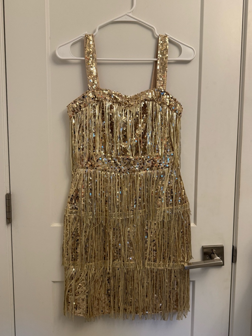 Gold Fringe Sequin Dress